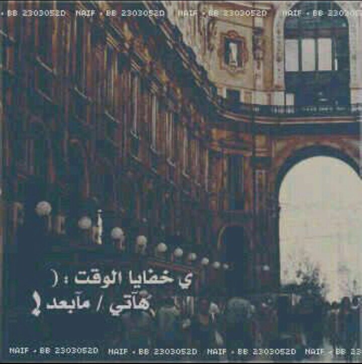حيااااااه شخاااابيط