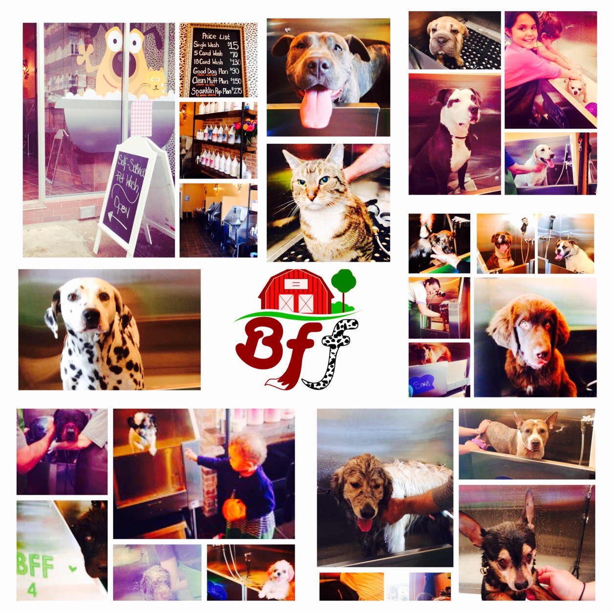 BarnForff's profile picture. Brooklyn's 1st self-service pet wash to spoil, love and bond with your pet.