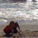 Cathy Feeney - @cathyreg - Twitter