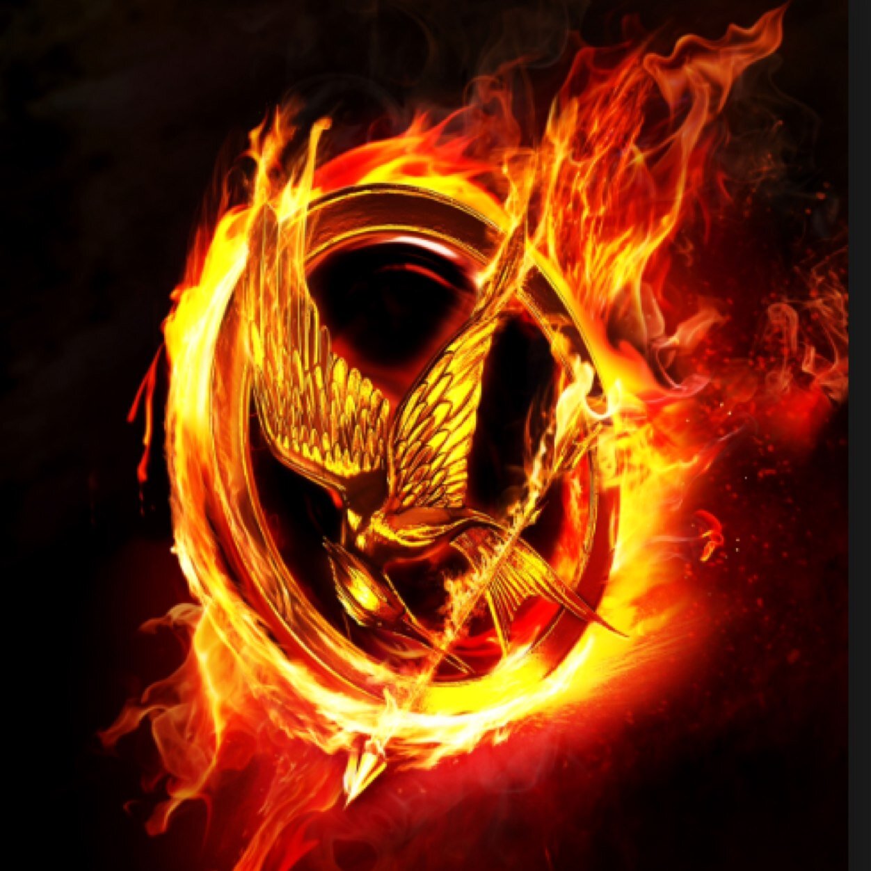 the hunger games are love, the hunger games are life.