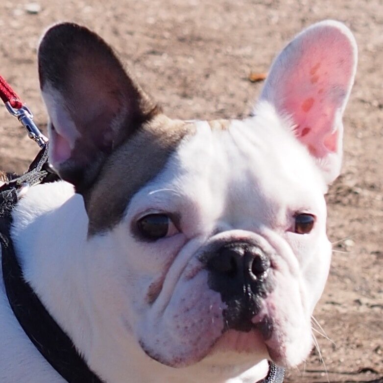 AimeeManis1's profile picture. 