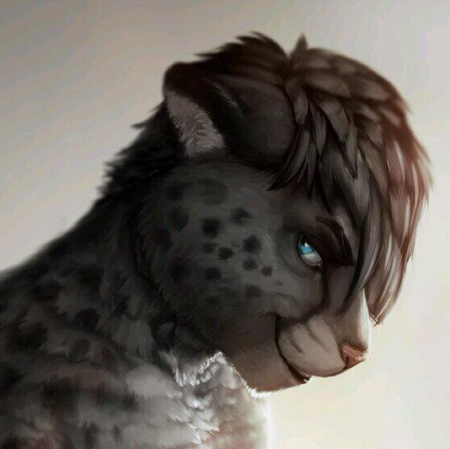 |  son to @JainarieAttack and @The_Furry_Mia - Twin Brother of @Clumsy_Meer  |