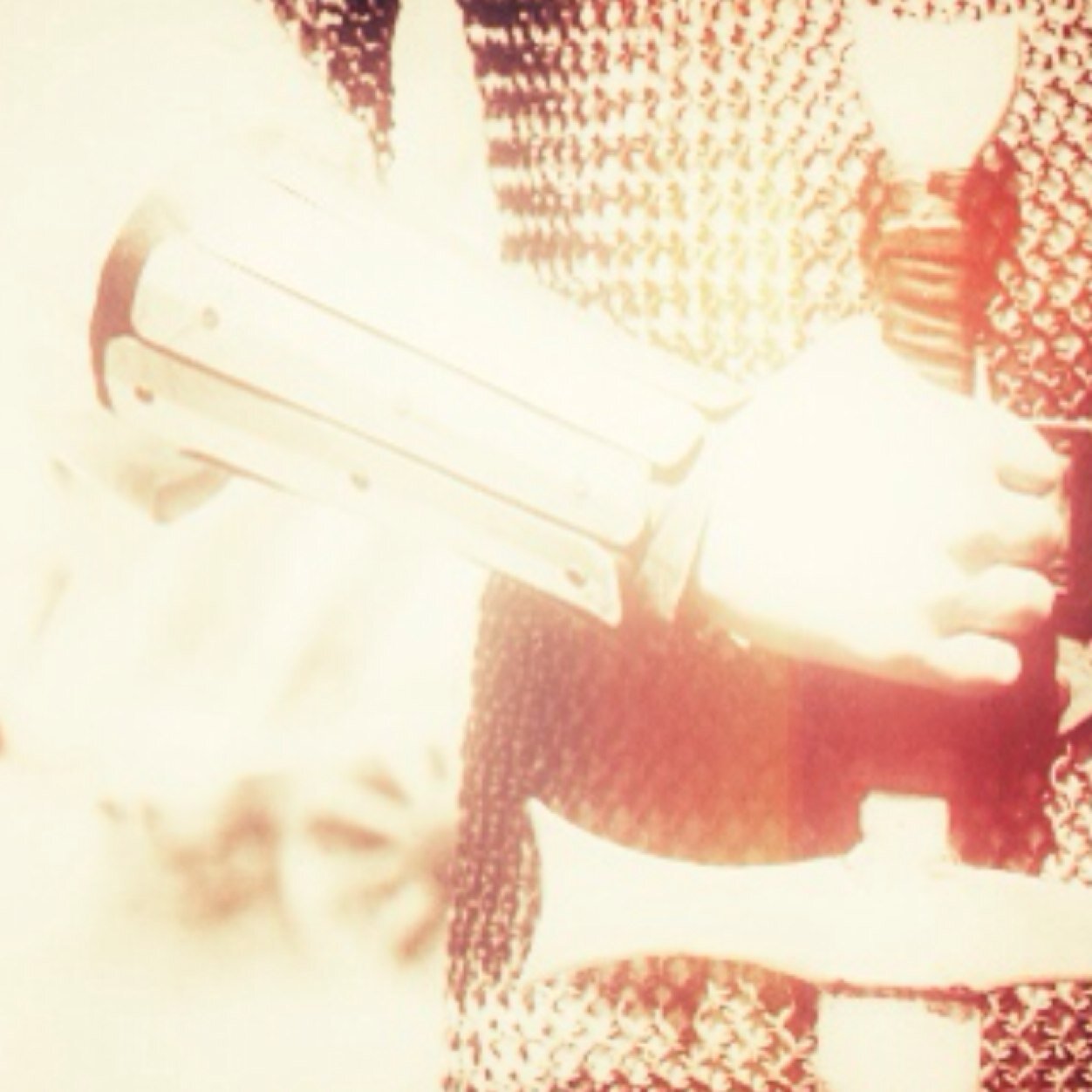 InShiningArmor_'s profile picture. My most precious treasure, not polished armor or lofty helm, but the fairest flower gently held in my heart, and my heart in her hand