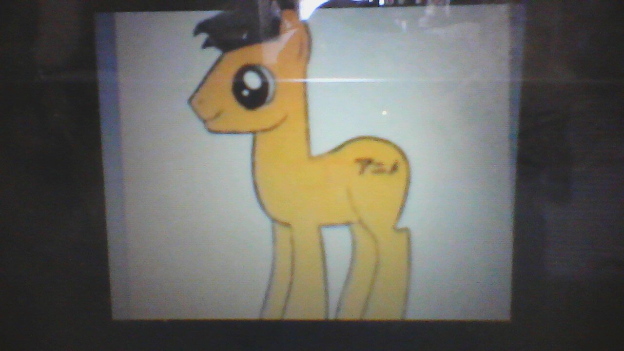 Hi everypony, im Zane and im a pegasi. taken by: @bajrecord sis: @loyalrhythm bro: @mlp_Jack015 bpff: @NytNinja @wubsx @ahmexicanboy @ZaNaiyacall (no R34!)