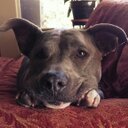 Jen McDaniel Oxley - @JenniferM0617 - Twitter