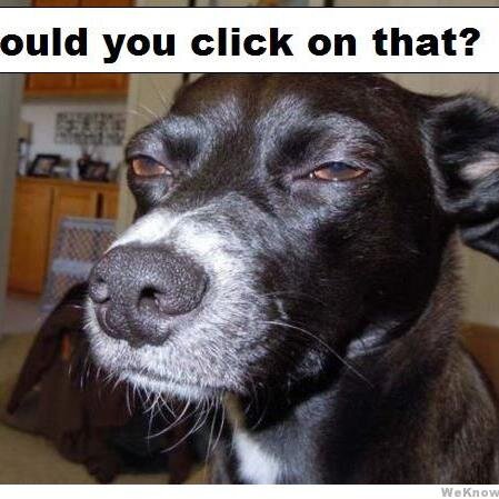 Emenius41's profile picture. 