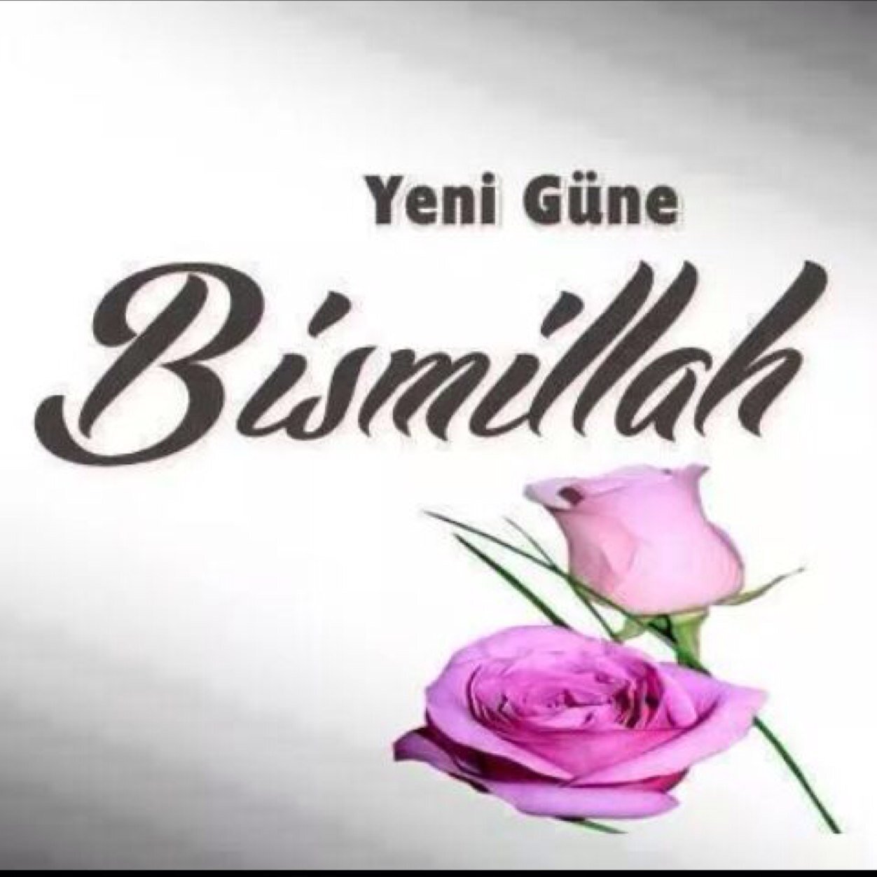 emineyanbak3's profile picture. 