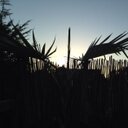 Ben Anders - @BEN55ON - Twitter