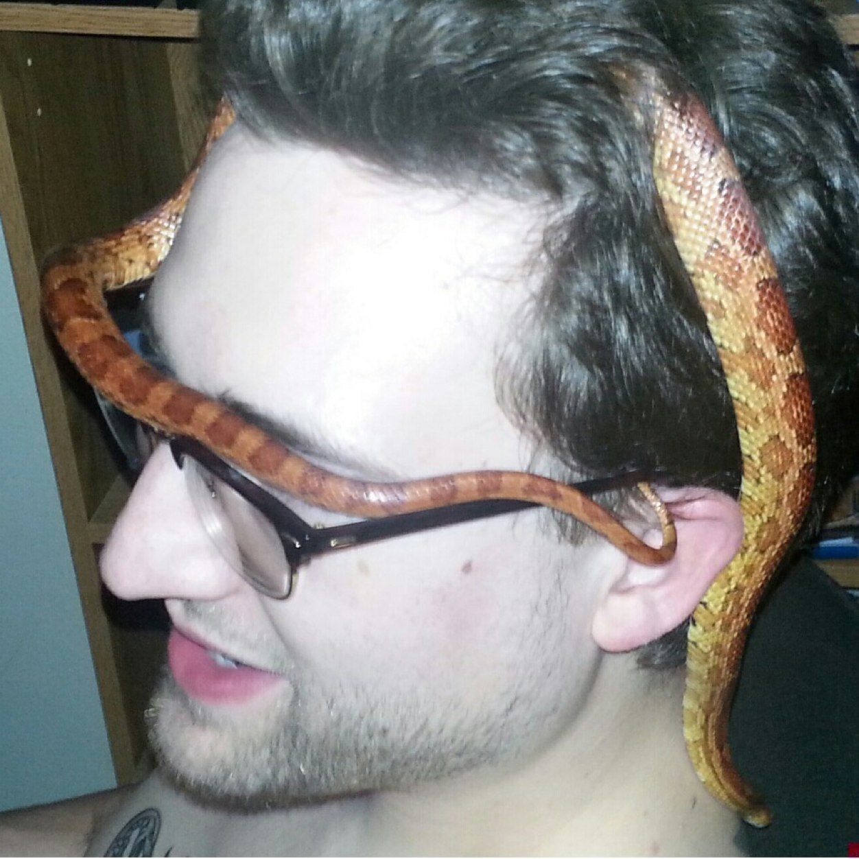 TheCromDiaries's profile picture. I lead you to glorious times.