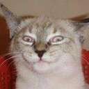 OLIVIA CORONADO - @OLIVIACORONADO2 - Twitter