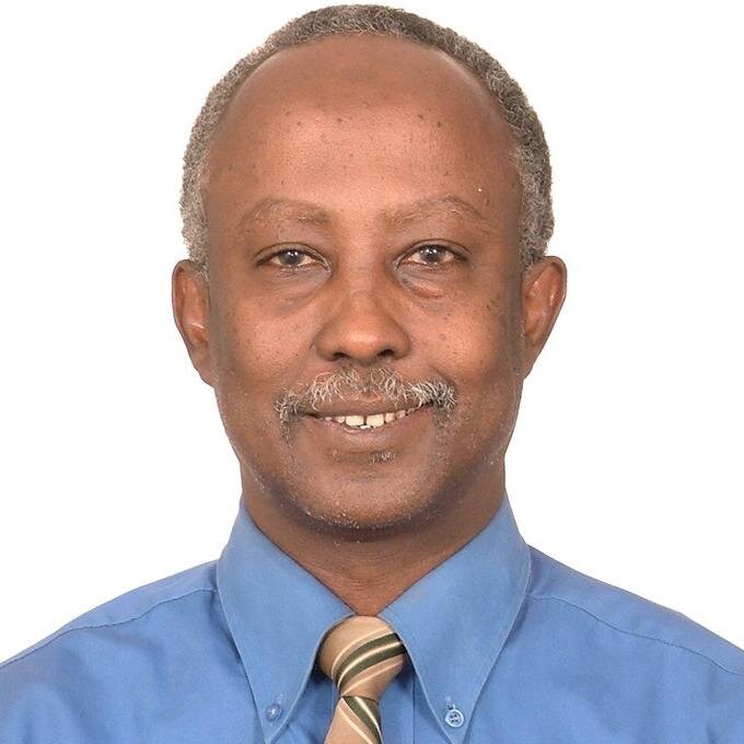 Senior Consultant and a former Minister of Telecommunication in Somalia. 

My mission: Creating a Peaceful and Safe Future in Somalia. .
