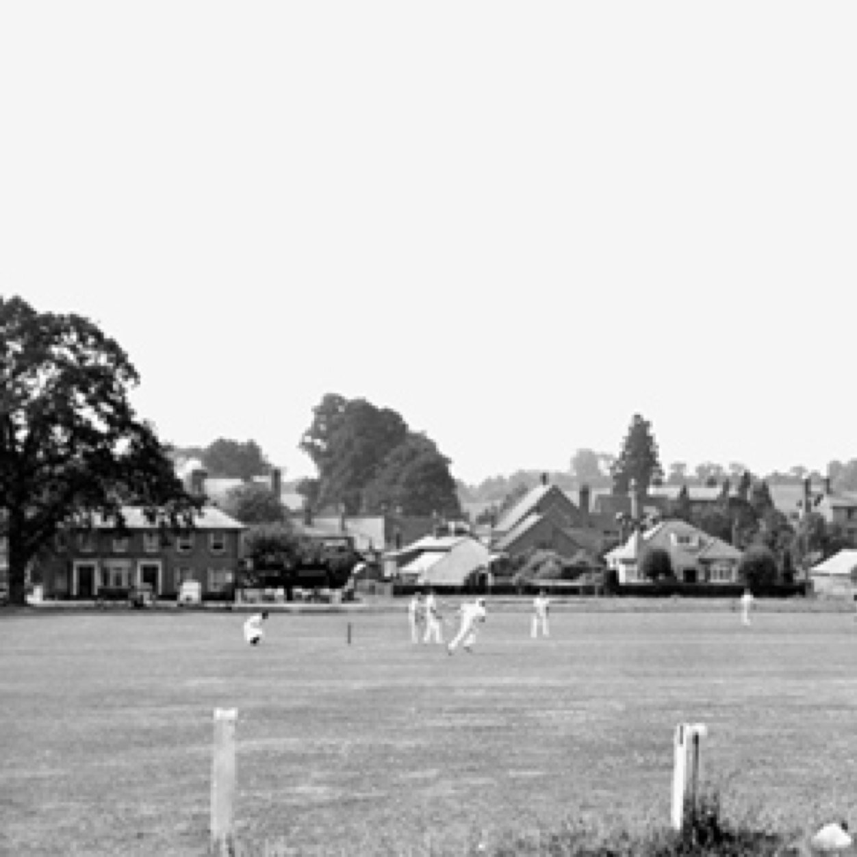 NEW EXCITING CRICKET GREEN TWITTER AND NEW WEBSITE SOON.