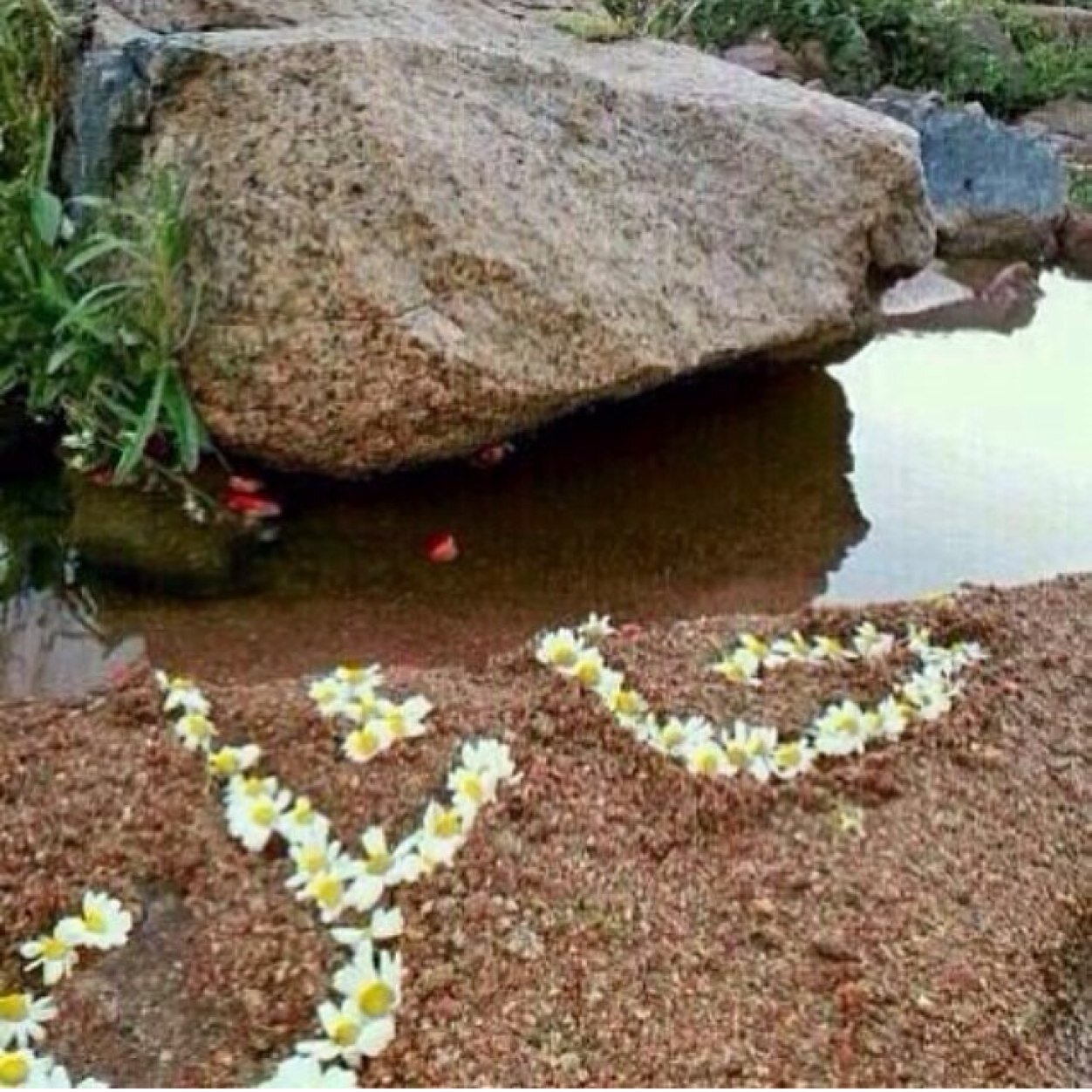 ماا عفت أحد بس ماعاد يهموني♡♡ سيبقى هدوئي هو عتابيَ لكل من خاب ظني بهہ ..! Hail