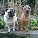 Catherine Hay - @katiebirdie1975 - Twitter