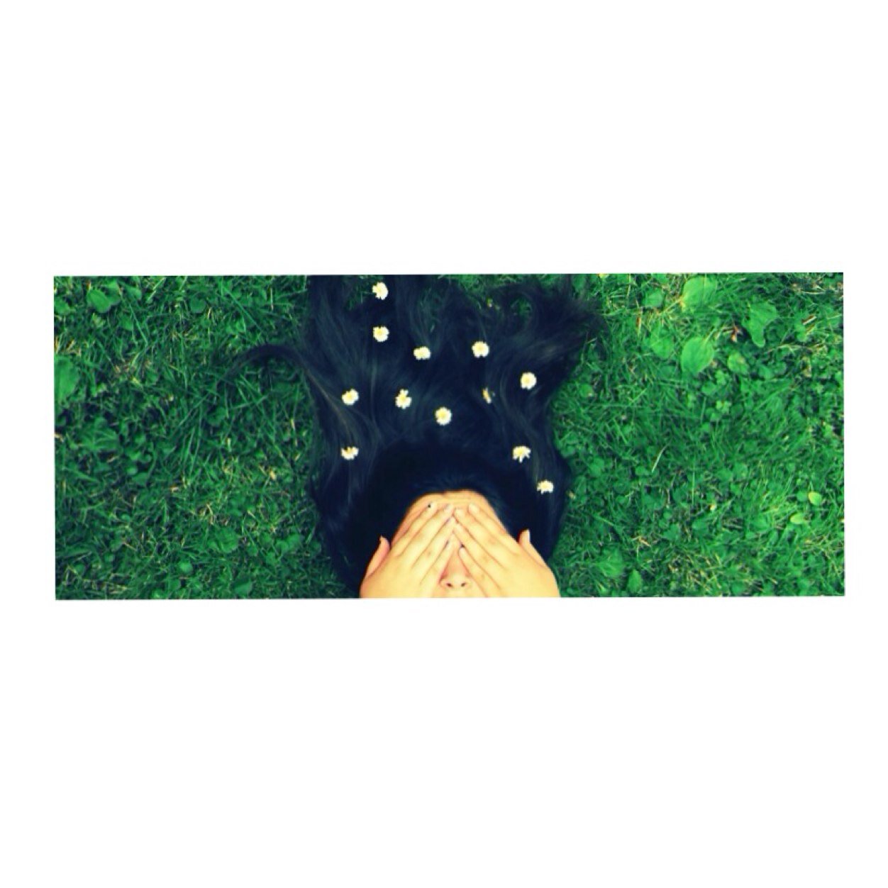 1DLOVER_200112's profile picture. One direction and Magcon are my life