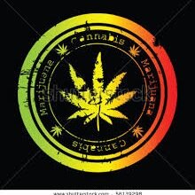 The Worlds #1 Hub for all cannabis content.