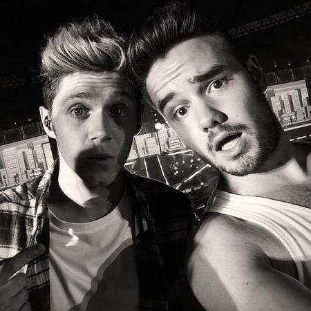 Hello there! This is a free follow from @guycrazymofo please follow him and ask for a followback. thank you so much! ily xx