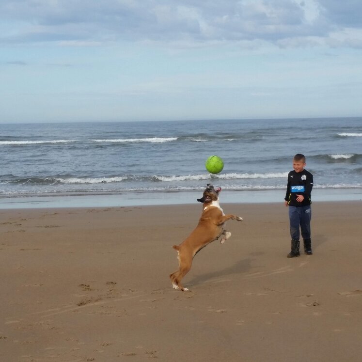 KwWobbler's profile picture. 