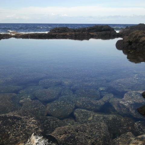 marell44's profile picture. 