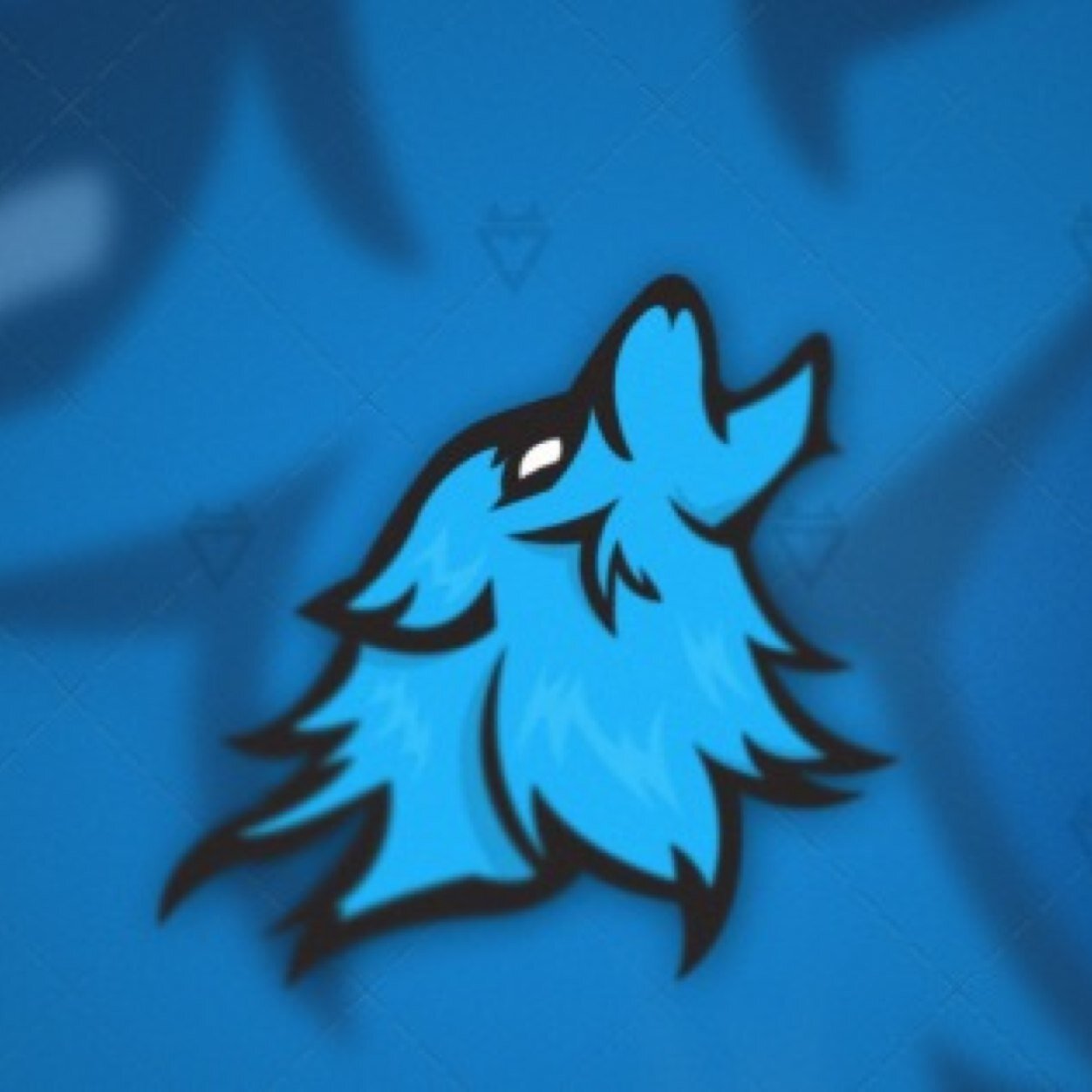 VarsityComp's profile picture. Competitive Call Of Duty Team. 3x Tourney Winners.