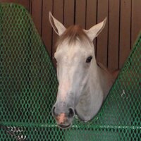 Jan Martin (@gopherheels) 's Twitter Profile