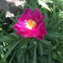 Ashley Wesley - @ajean2010 - Twitter