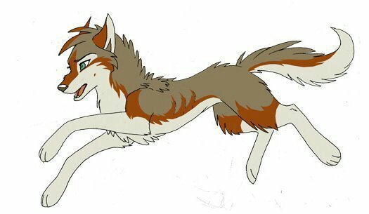 Im light heart #Female #Lonewolf #Wild I can chang into many kinds of different colors and I'm not the kind of wolf to mess with