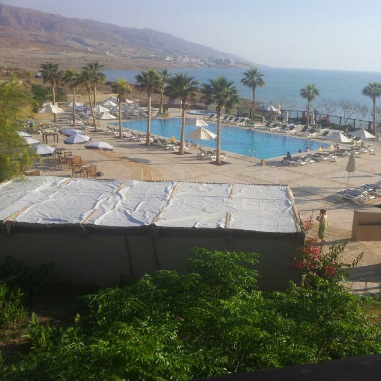 الحياة كلمة