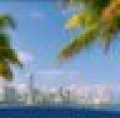 tampabayfl_dp's profile picture. tampabay, Florida,     	
Local News, map, flag, city, people