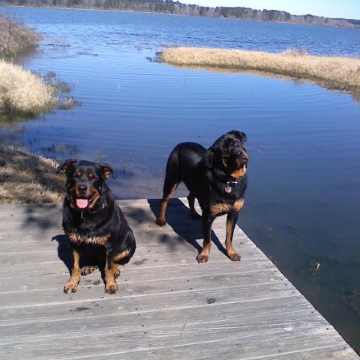 DeltaE420's profile picture. 