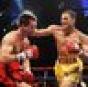 boxing,Gloves,TrainingRing,Wallpaper,Knockout,Mike Tyson