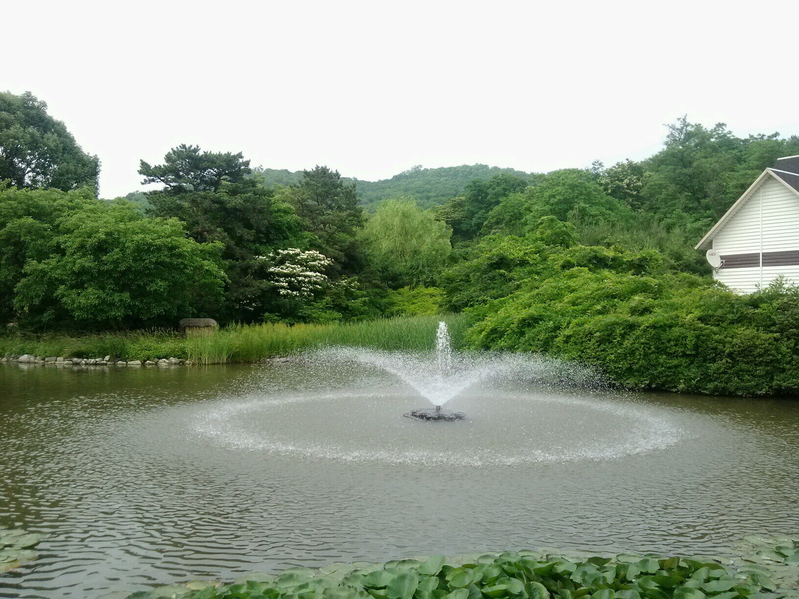 상식이 통하는 살맛 나는 세상!!! 한반도의 인공섬 S. Korea!!! 수구부패기득권 세력이 사라지는 나라~!!!