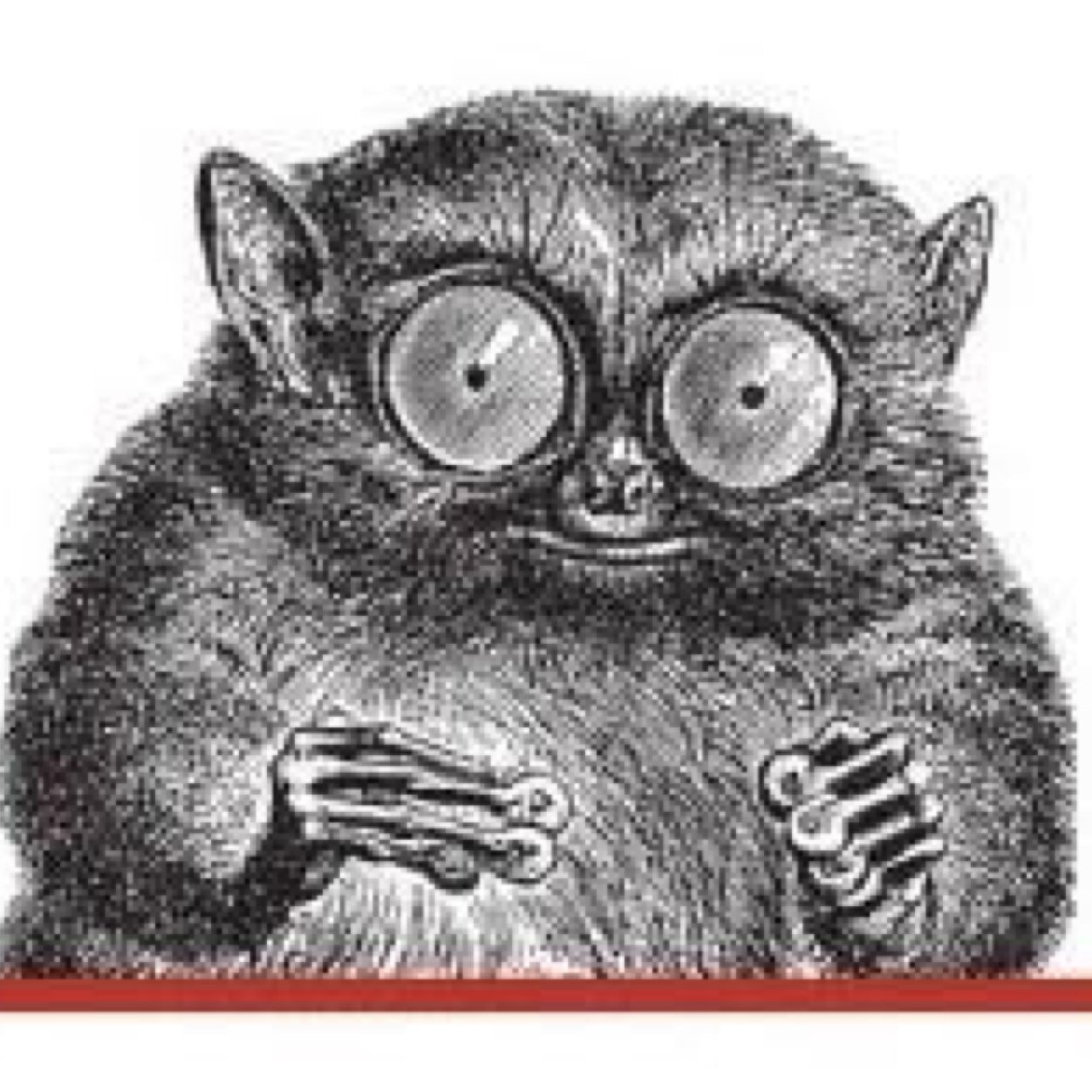 ShaneTweeting's profile picture. 100% I Always #FollowBack. On #TeamFollowBack But be warned I also unfollow if you dont #follow me & if you unfollow me. #FollowTrain - 
I like #Photography