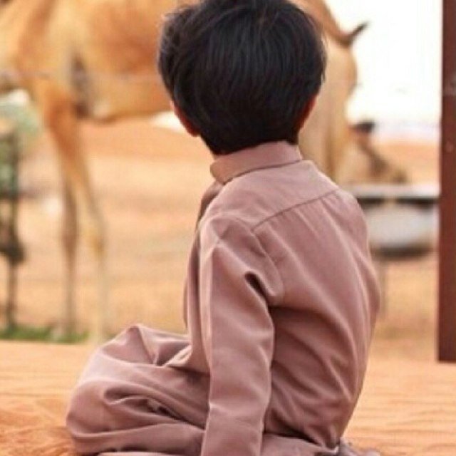الحمدلله
