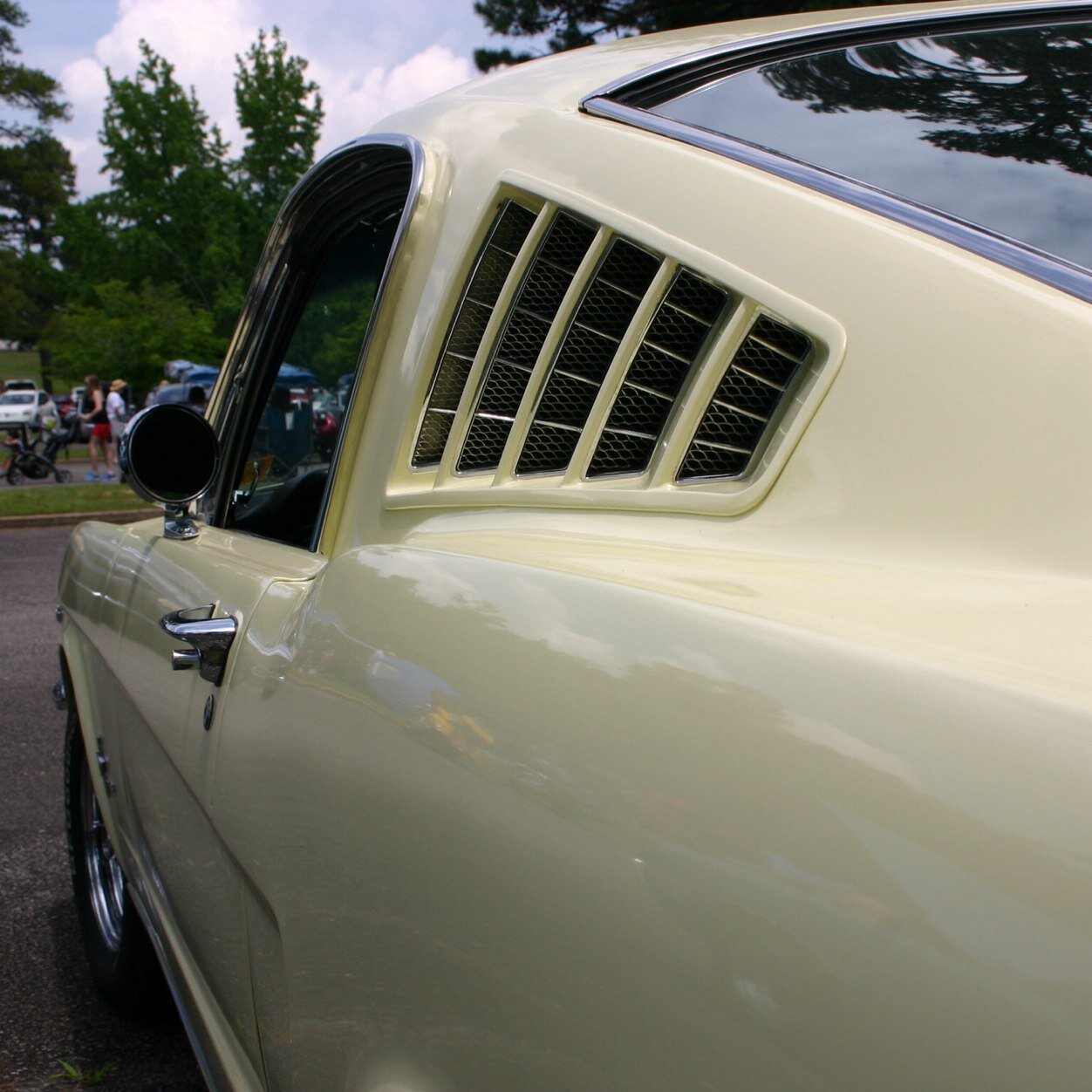 DailyMustangs_'s profile picture. Follow for Mustangs all day everyday #DailyMustangs