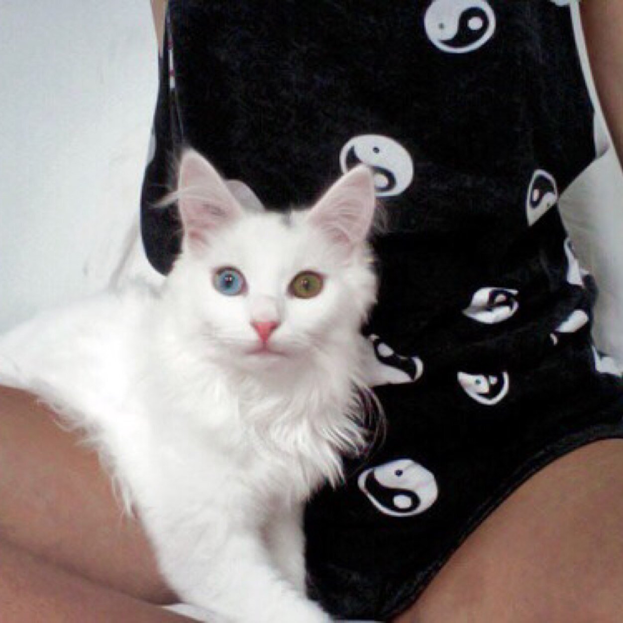 Aisisisisisksis's profile picture. 