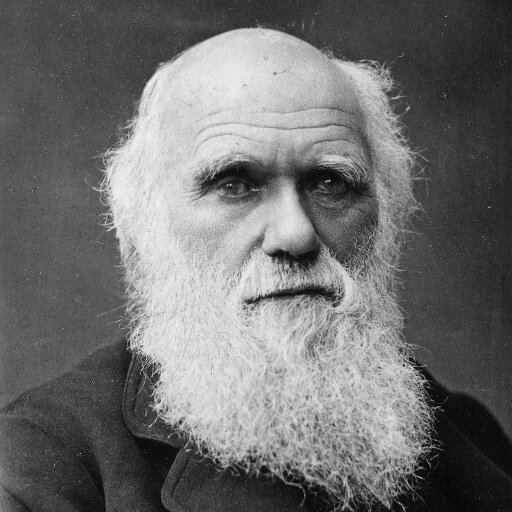 HappyH3ath3n's profile picture. I am no longer a Mormon. I have not only left the church, but I have left religion all together and am now quite content as an atheist. I'm a happy heathen.