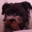 Dale Gray - @dalegray101 - Twitter