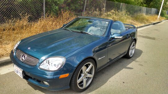 UDogging's profile picture. 