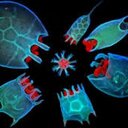 Aiden Harper - @AidenHarper810 - Twitter