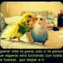 Renato Avalos - @reyavalos123 - Twitter