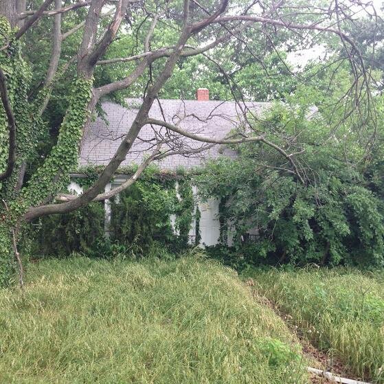 VacantDundalk's profile picture. A Blog highlighting vacant, abandoned, and distressed properties in Dundalk, Maryland.