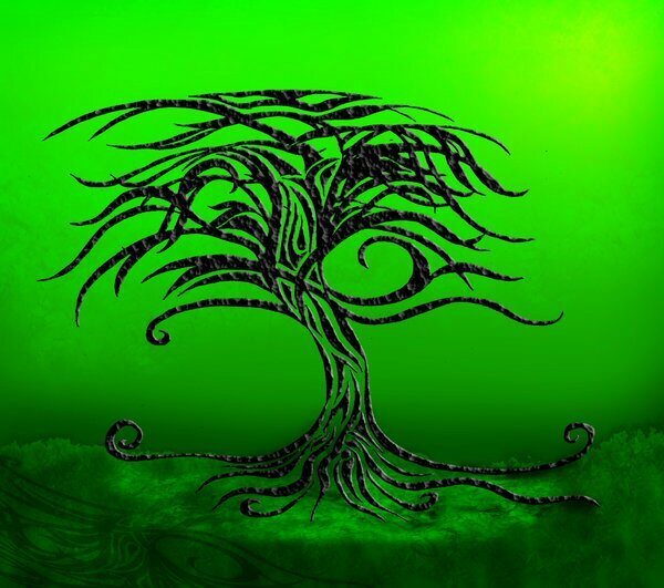 chriscabrera33's profile picture. 