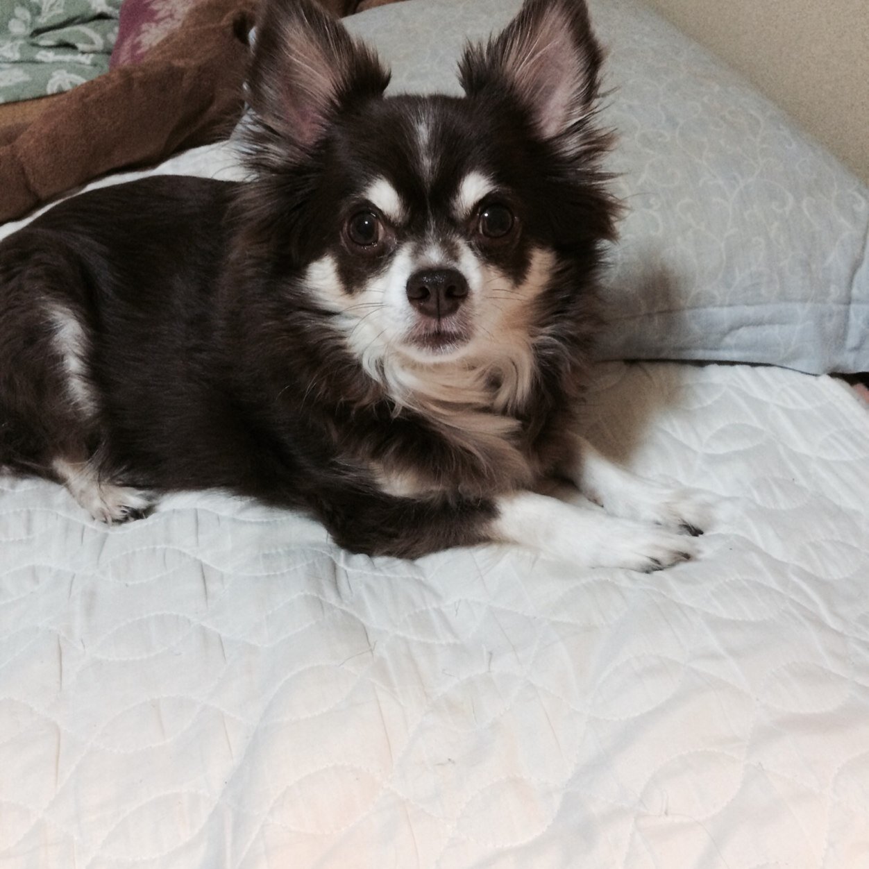 kkanie515's profile picture. 