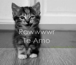 I love ''JUSTIN BIEBER''
