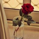 F (@13Faiza) Twitter