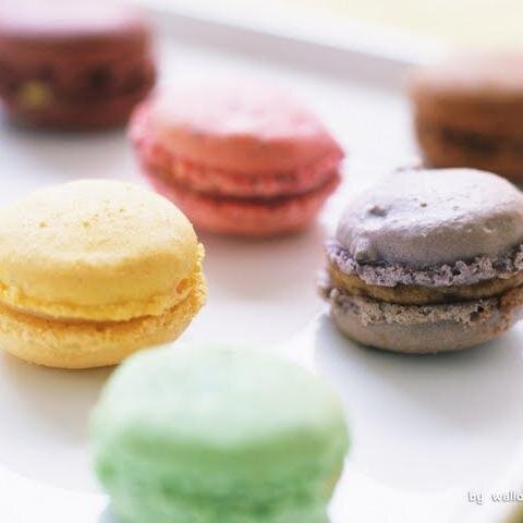 everydessert's profile picture. sharing my love for desserts!