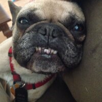 JimmyQhasbro (@itsasilentq) 's Twitter Profile