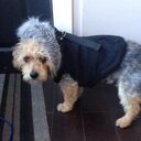 evan boyle - @masterchief4723 - Twitter