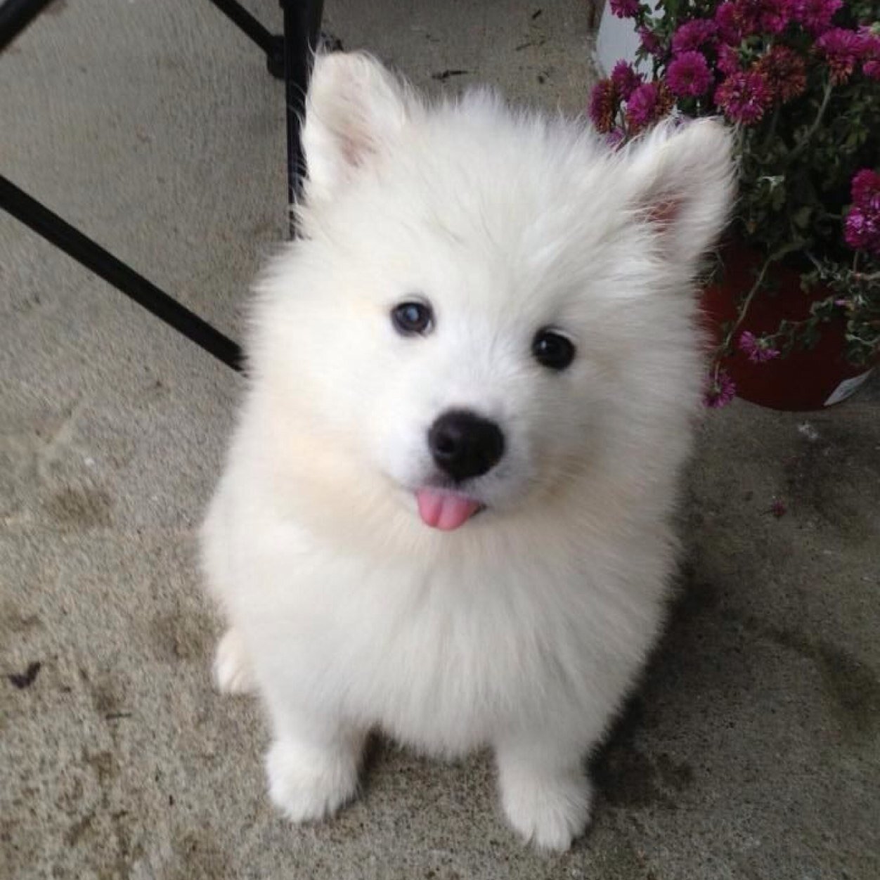 bioplsily2's profile picture. please follow @fcmuellert i follow back just ask :)